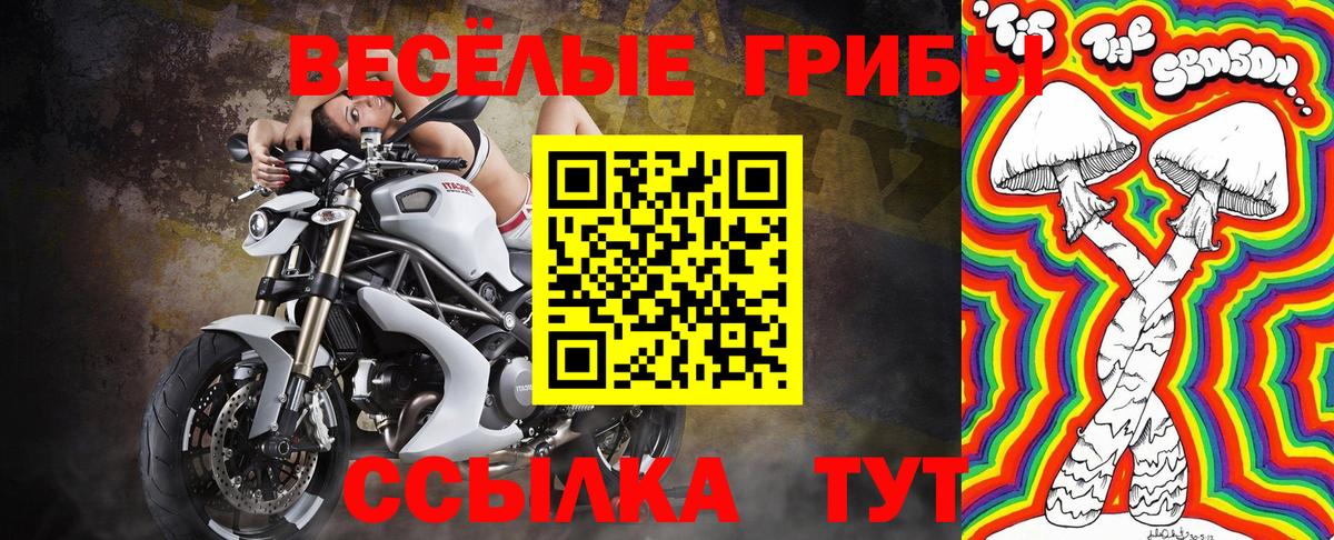 Галлюциногенные грибы Magic Shrooms Калининград